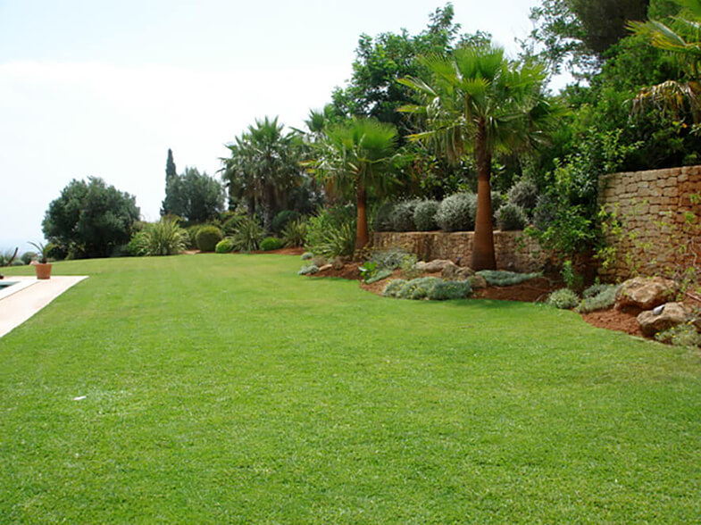 Landscaped Garden View Landscaped Garden View