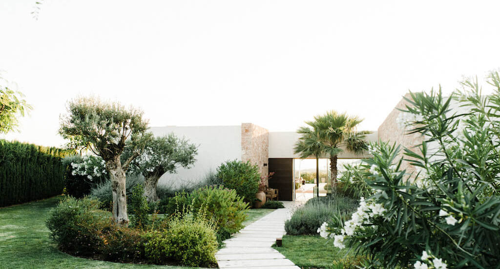 cala_conta_dream_mq54