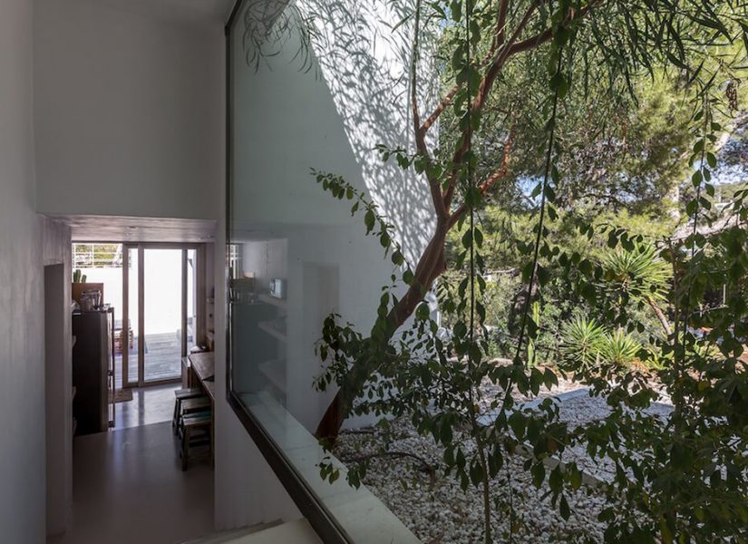 can_cala_moli_mq24 can_cala_moli_mq24